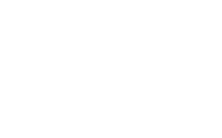 Willy Naessens Group